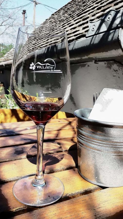 Borbarátok vendègház Hotel Villány Kültér fotó